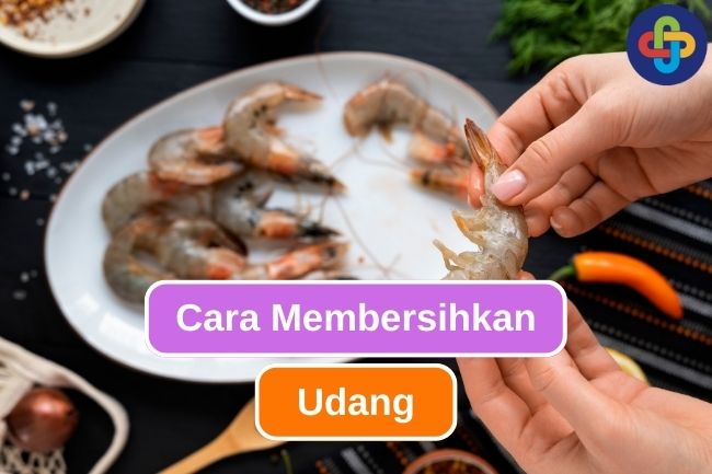 Cara Membersihkan Udang agar Rasa Udang Lebih Enak